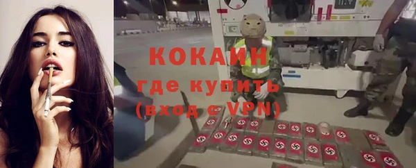 2c-b Алзамай