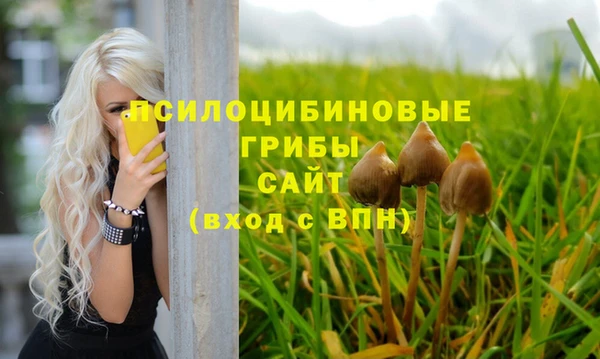 винт Алексин