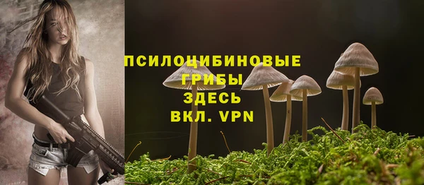 2c-b Алзамай